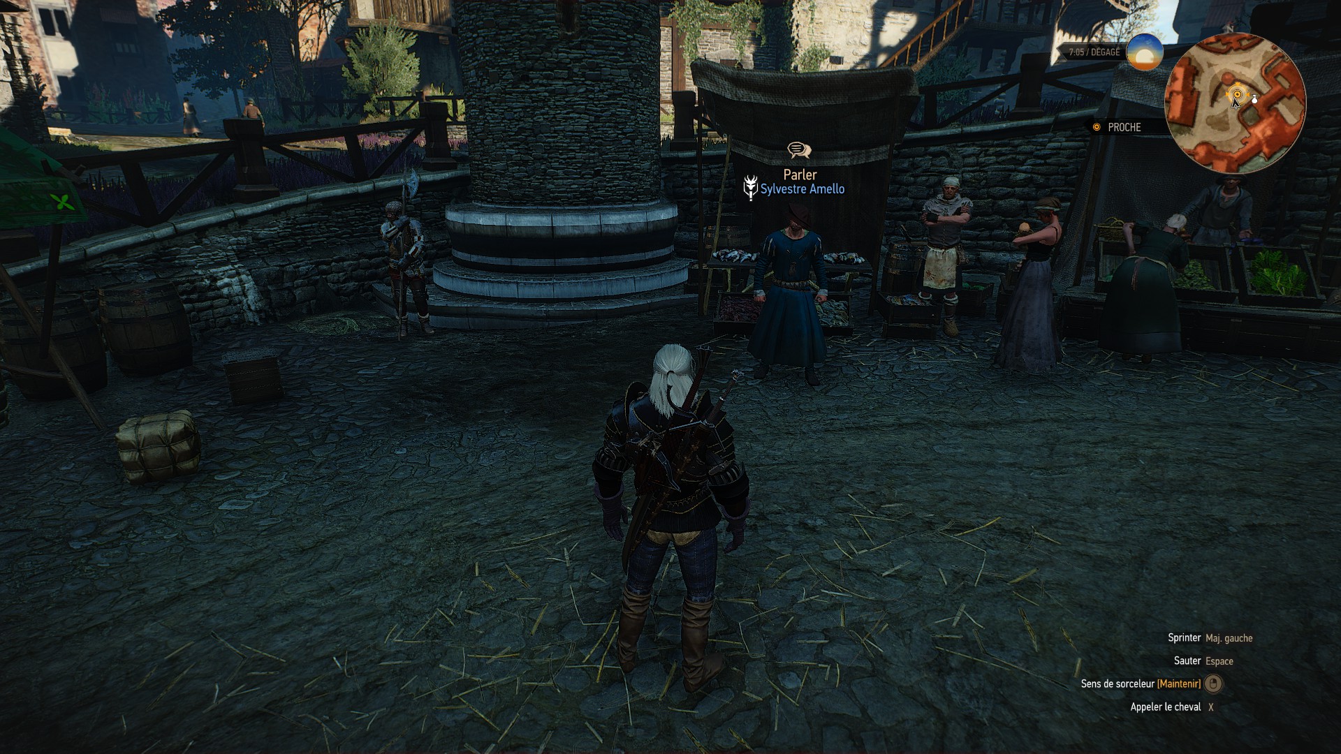 Contrat : un voleur insaisissable - The Witcher 3 : Wild Hunt - Monster