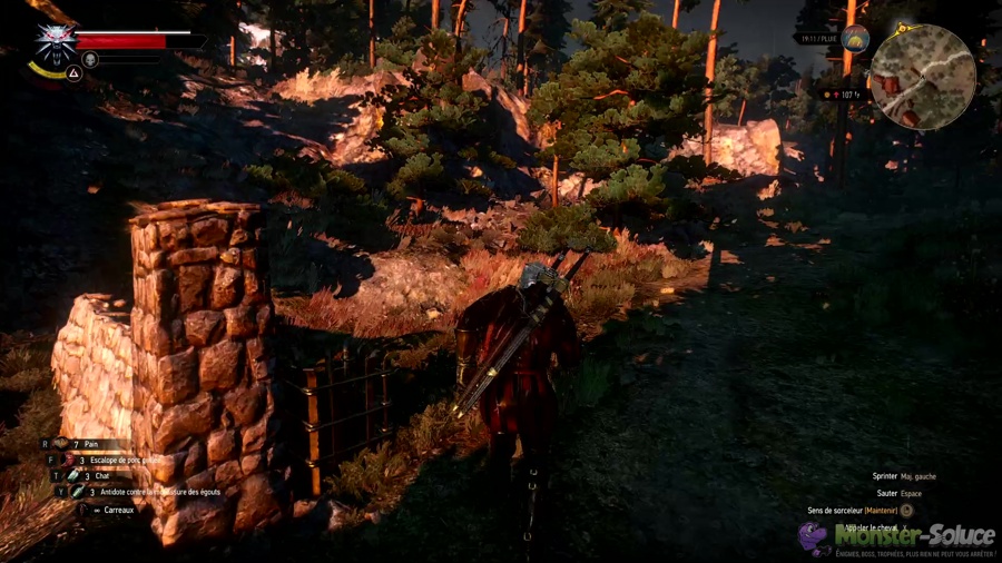 Ecole Du Chat Amelioree 03 Prenez Le Sentier A Gauche The Witcher 3 Wild Hunt Monster Soluce